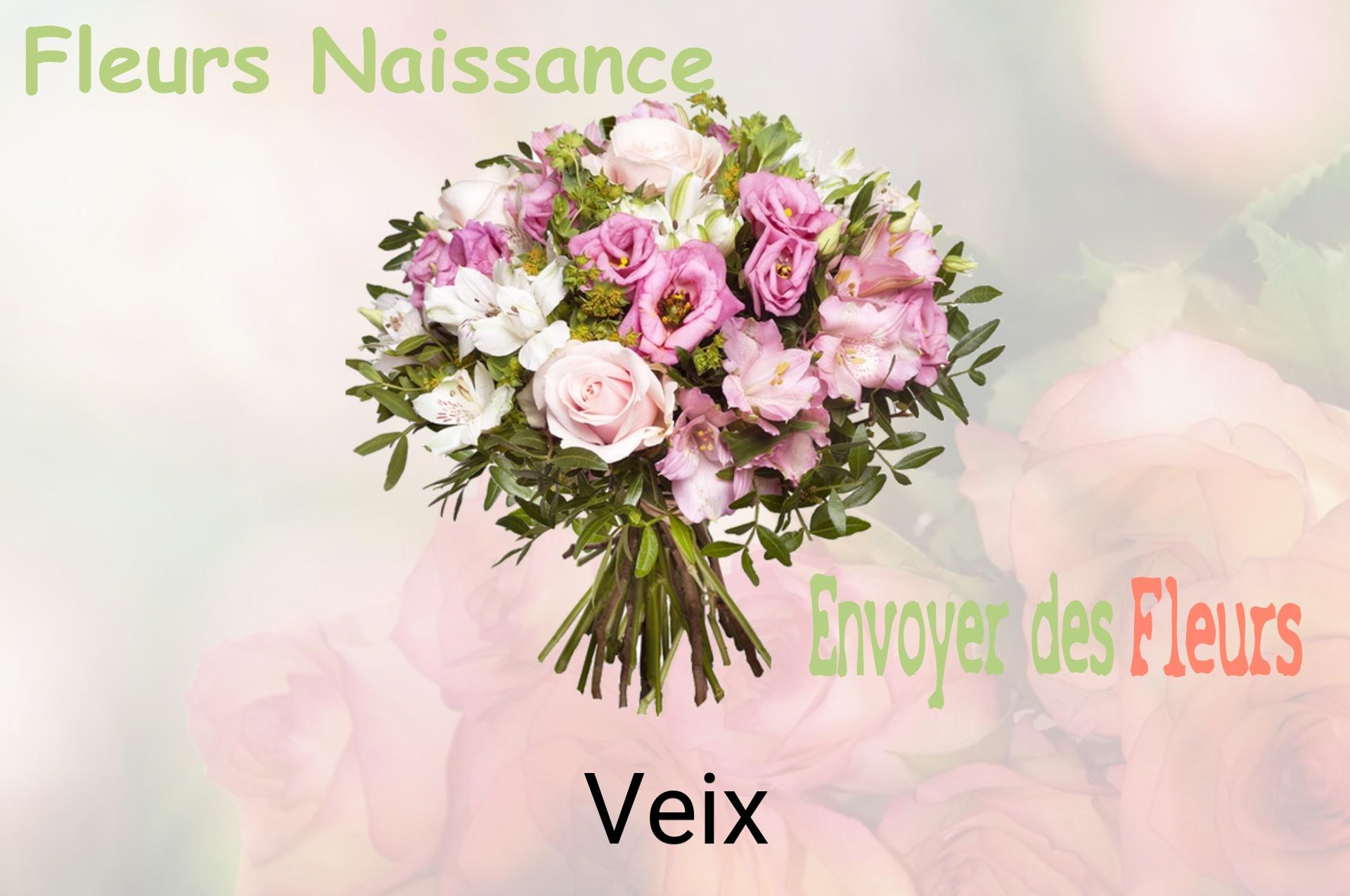 Bouquet de fleurs de naissance livré à Veix